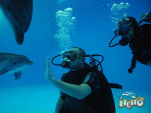 diving3